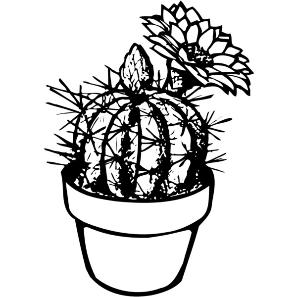 CACTUS01 Thumbnail